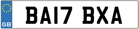 Truck License Plate